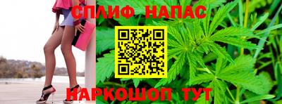стафф Гусев