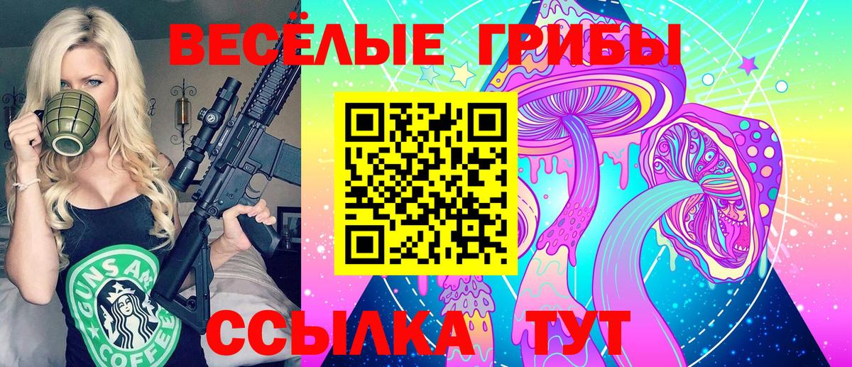 Чебаркуль  Псилоцибиновые грибы мицелий  Вход с VPN 