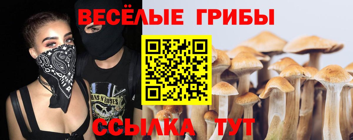 Галлюциногенные грибы Psilocybe Чебаркуль