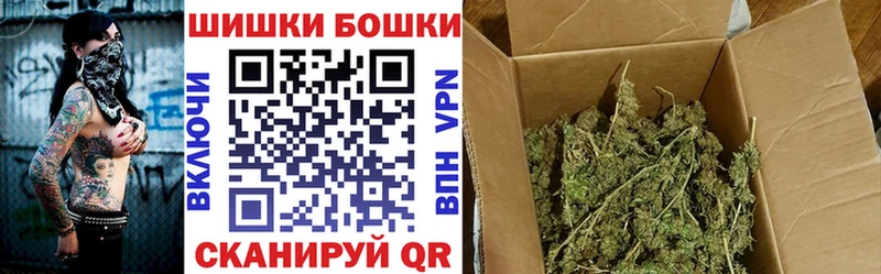 как найти   Чебаркуль  Конопля OG Kush 